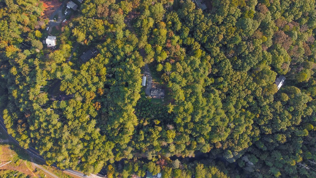 419213 Ellijay Residential