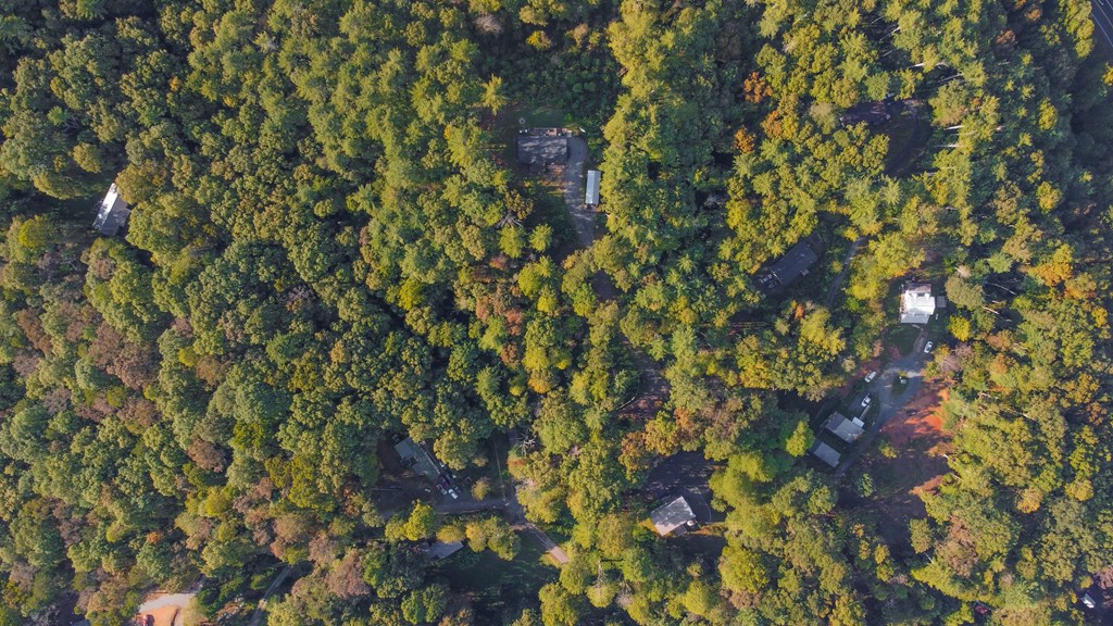 419213 Ellijay Residential