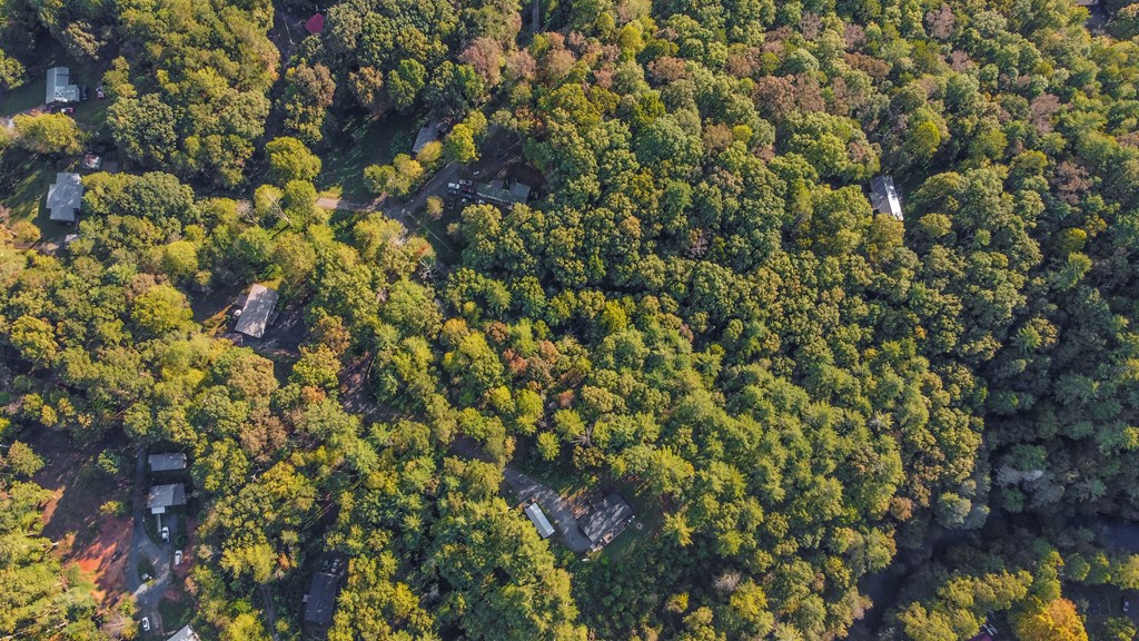 419213 Ellijay Residential