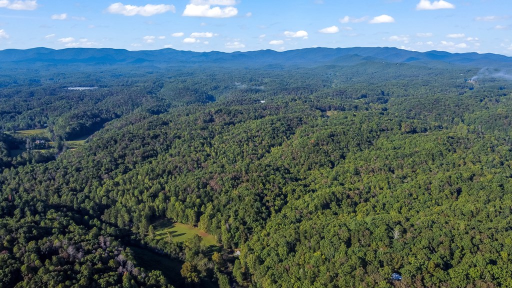 419213 Ellijay Residential