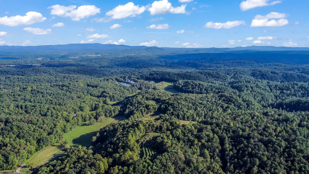 419213 Ellijay Residential