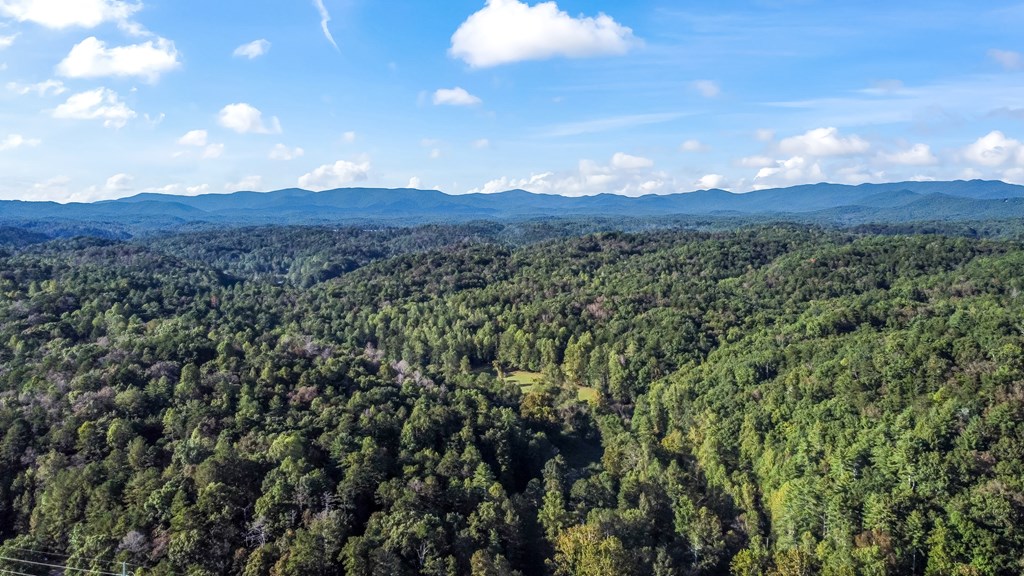 419213 Ellijay Residential