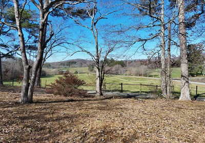 419254 Blairsville Residential
