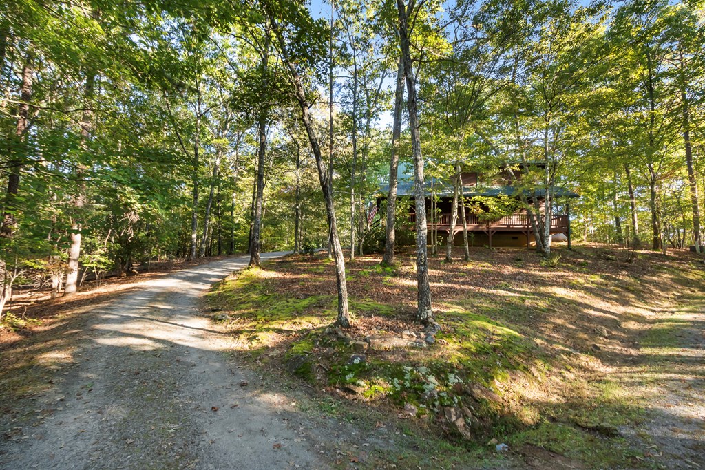 419264 Murphy Residential