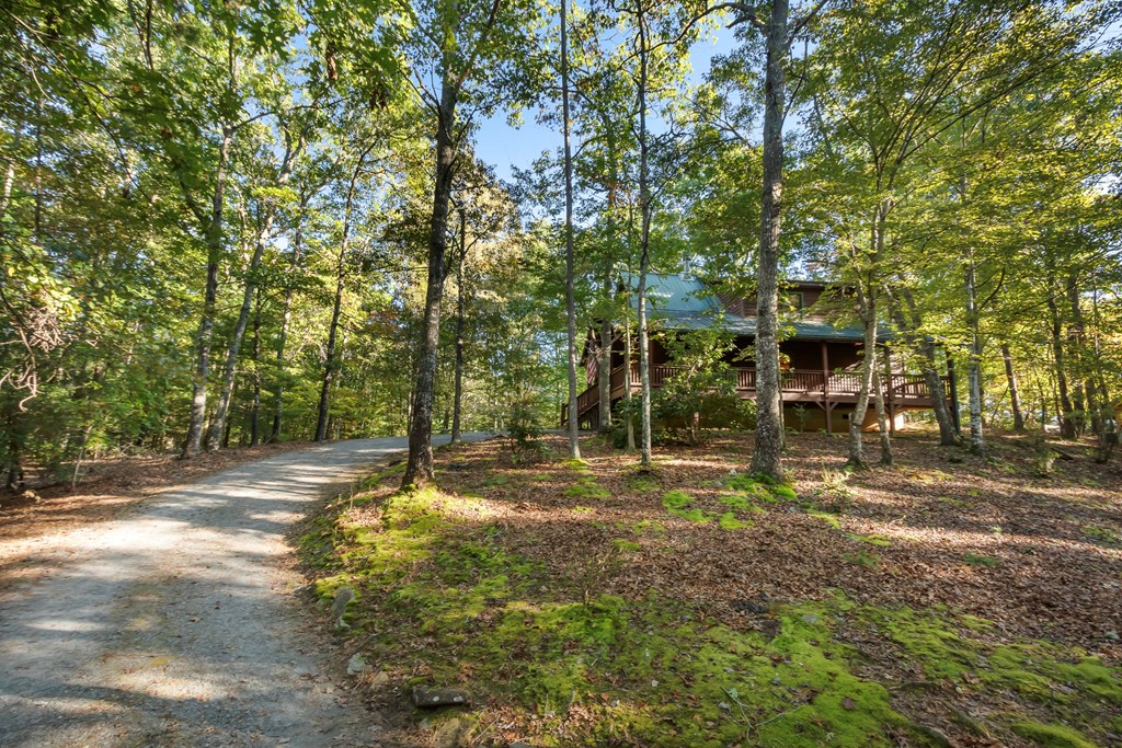 419264 Murphy Residential
