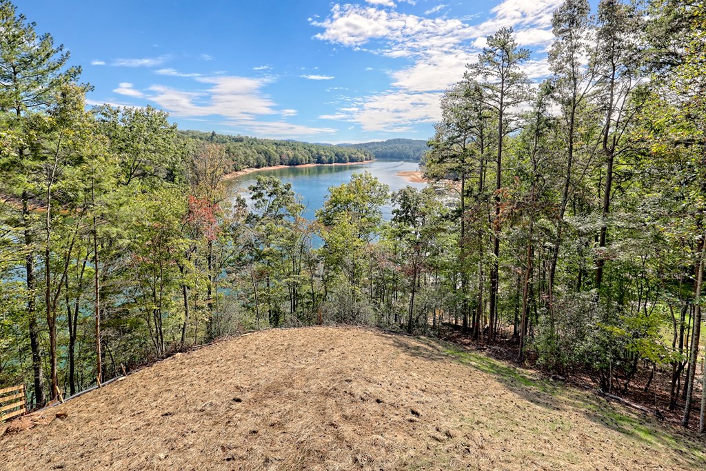 419272 Blairsville Residential