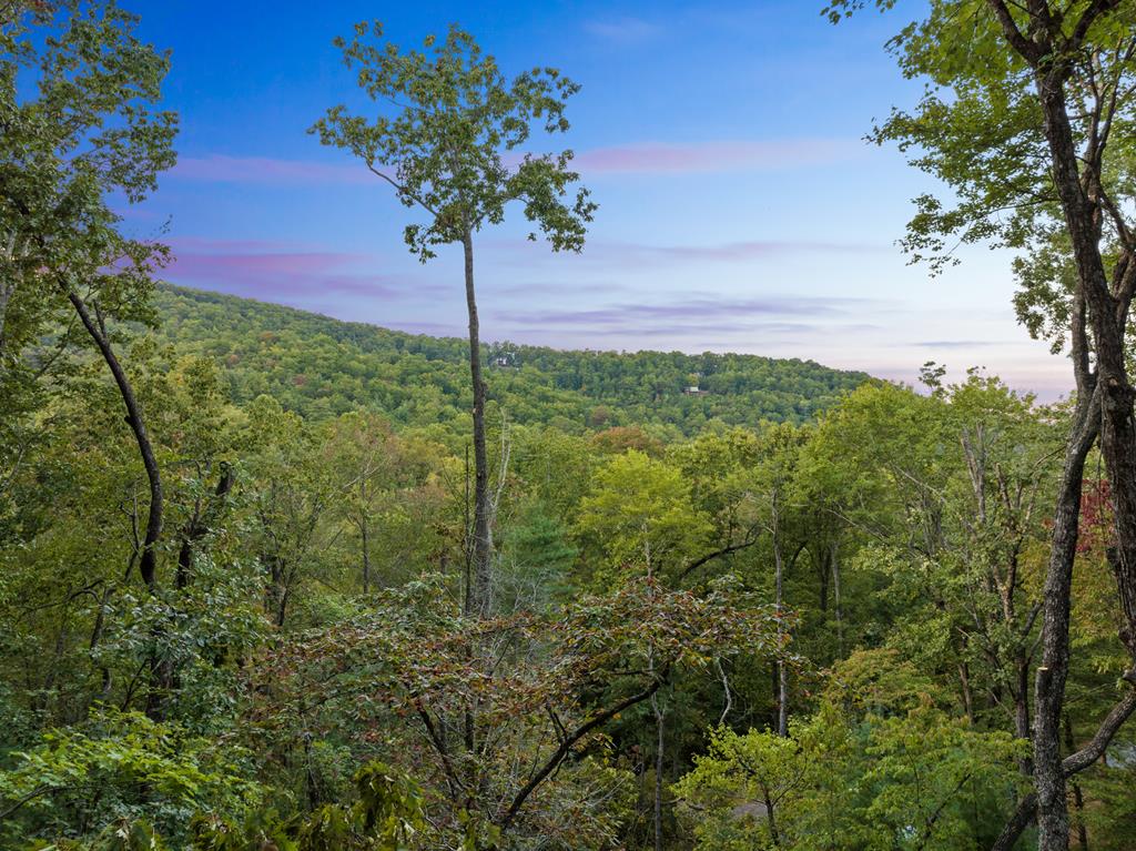 419324 Blue Ridge Residential