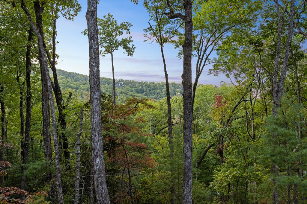 419324 Blue Ridge Residential