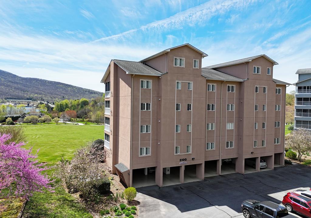 419334 Young Harris Condominium
