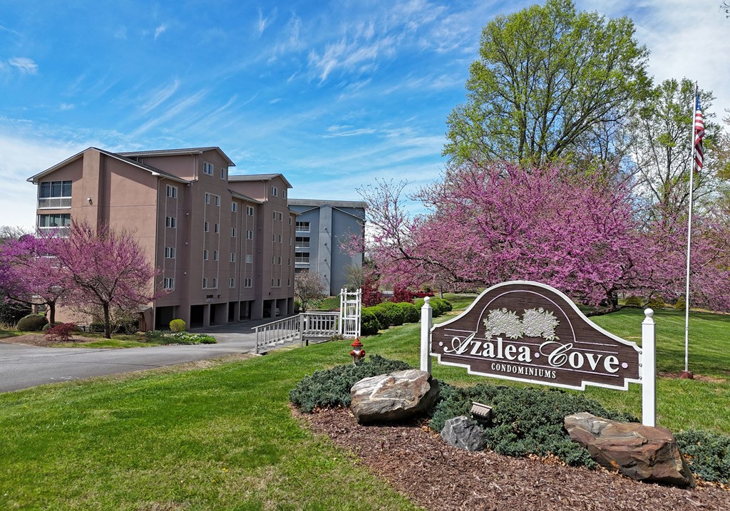 419334 Young Harris Condominium