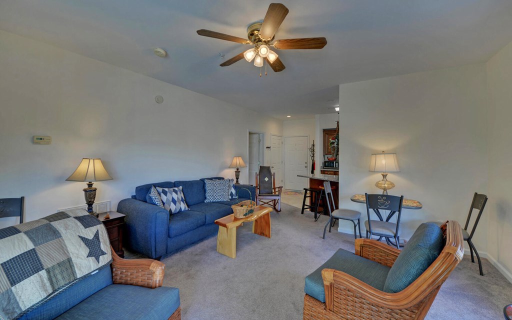 419357 Hiawassee Condominium