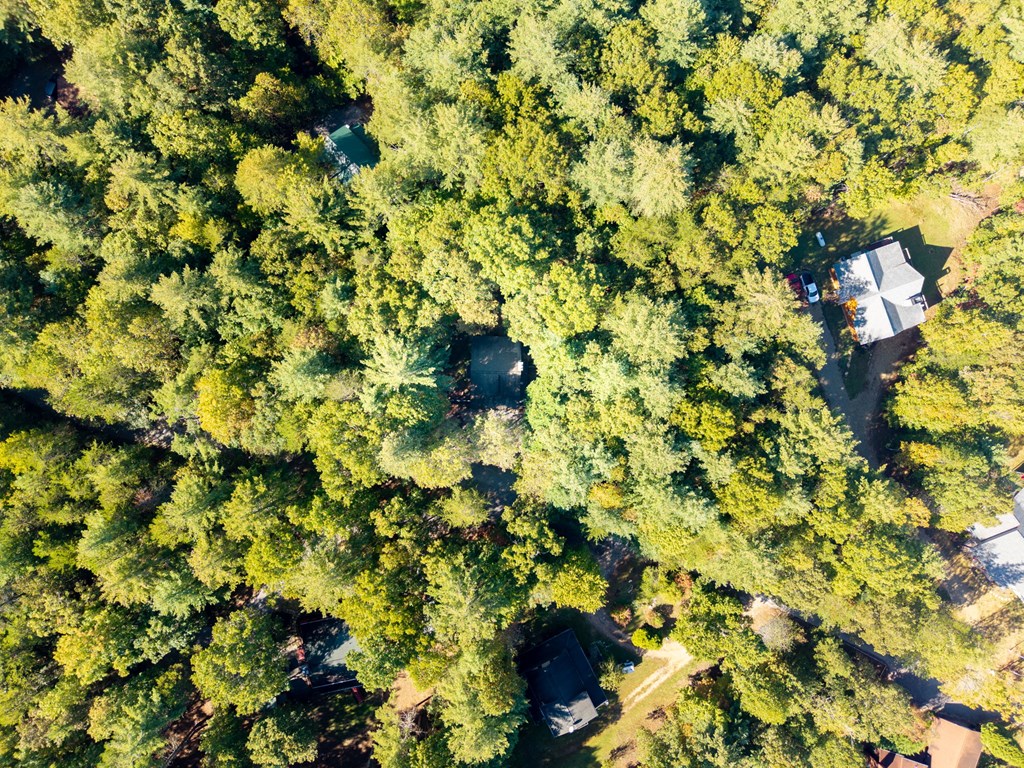 419379 Blairsville Residential