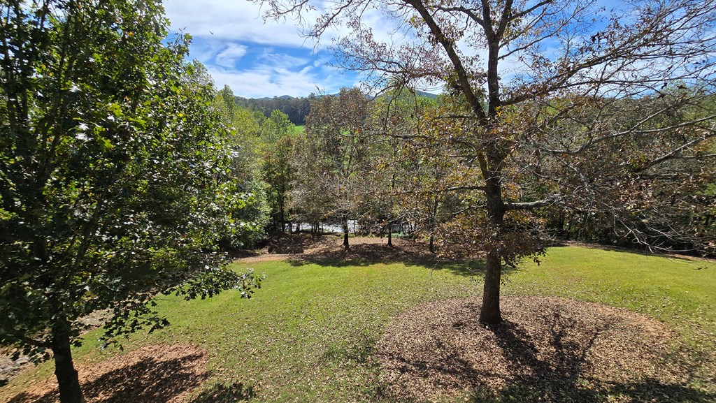 419393 Young Harris Residential
