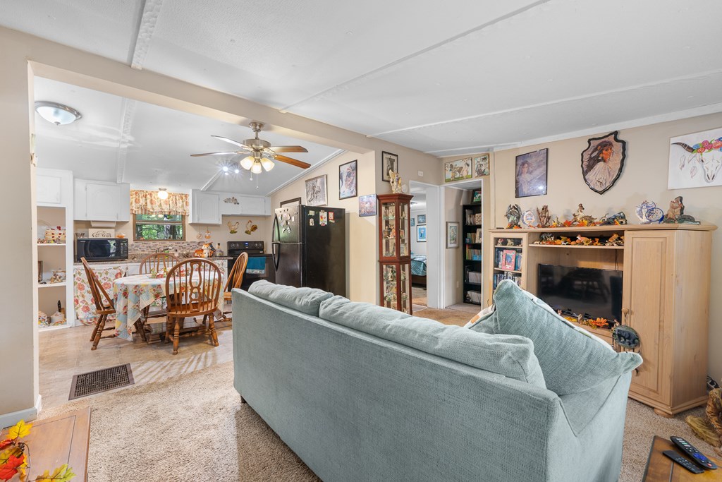 419408 Ellijay Residential