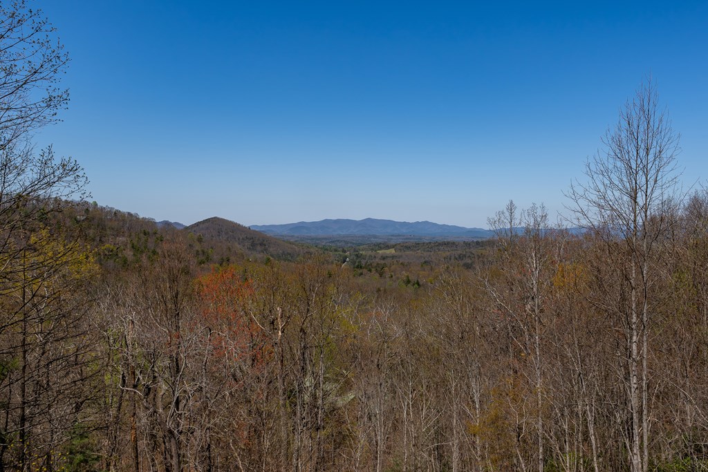 419464 Blue Ridge Residential