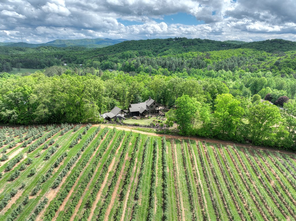 419471 Blue Ridge Residential