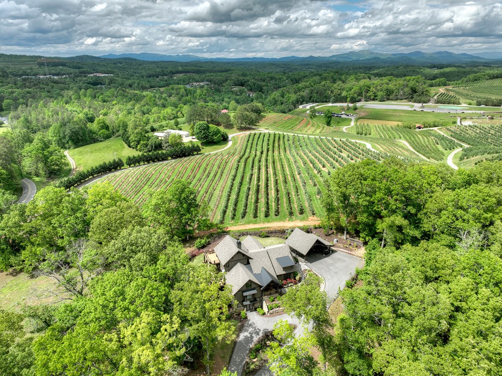 419471 Blue Ridge Residential