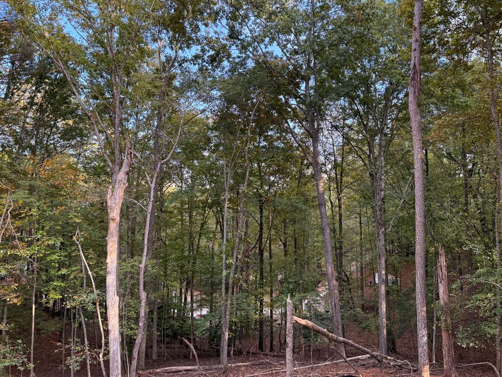 419511 Ellijay Residential