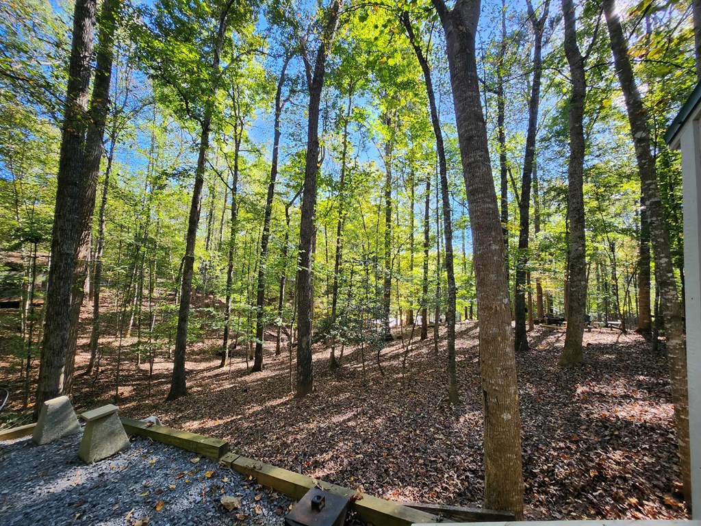 419548 Ellijay Residential