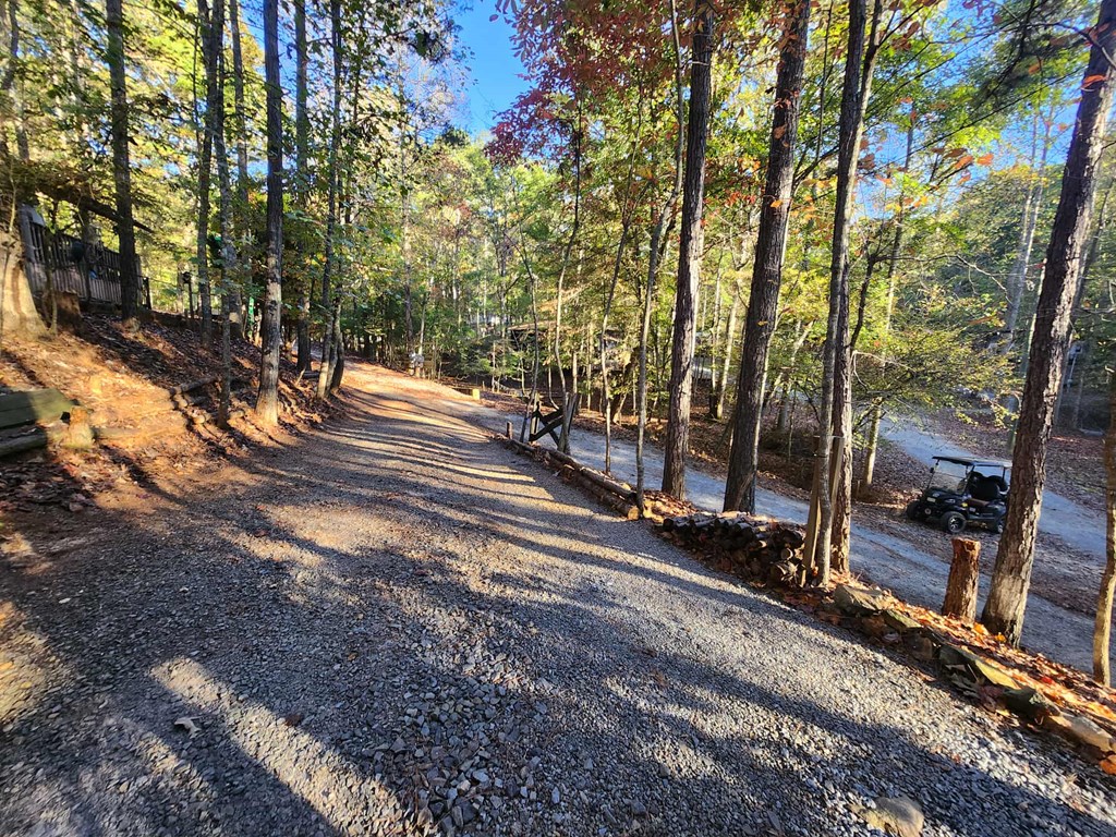 419555 Ellijay Residential