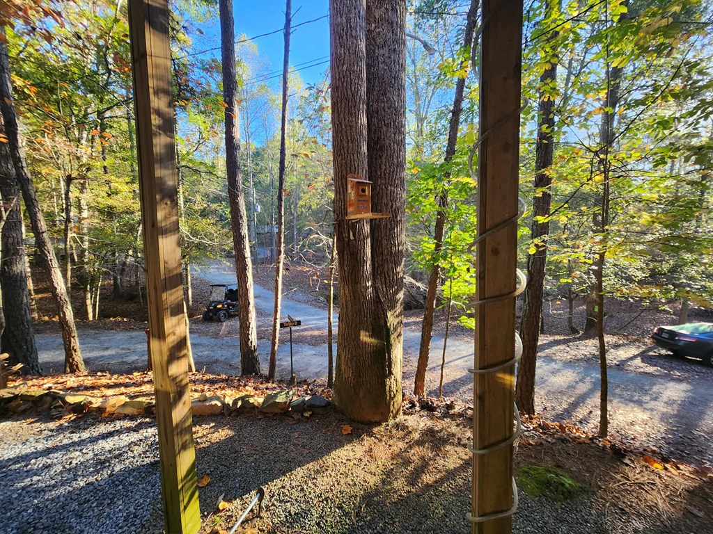 419555 Ellijay Residential