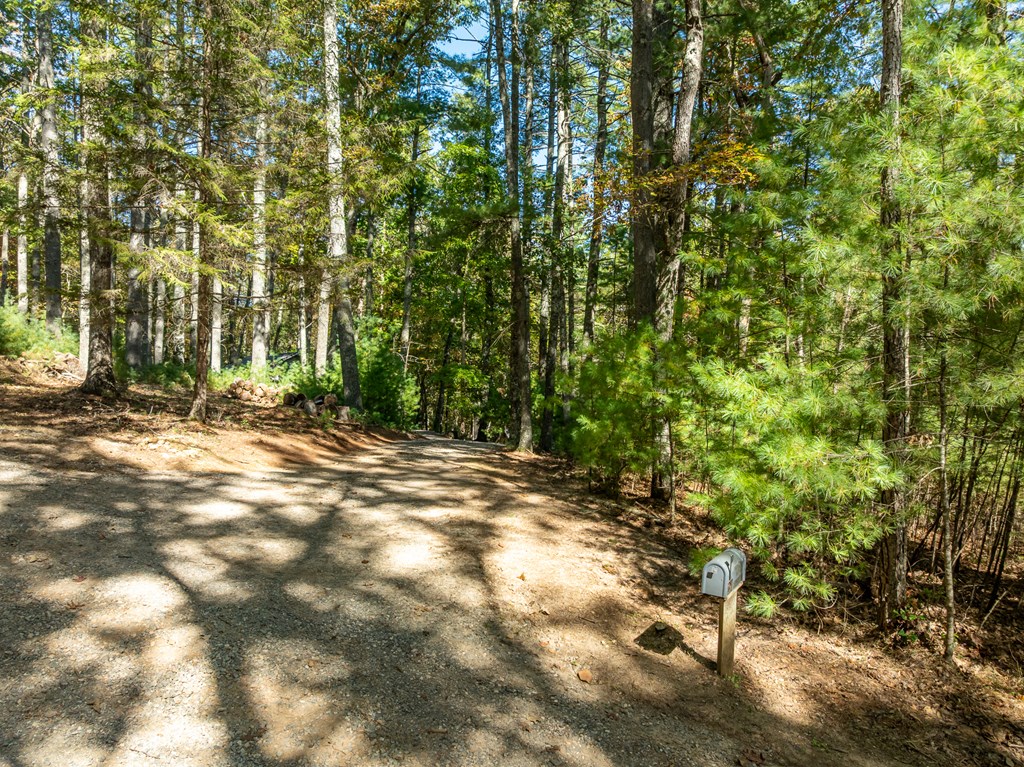419587 Blue Ridge Residential
