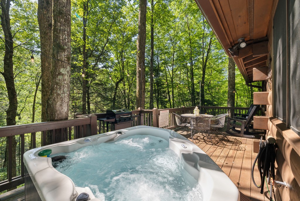 419597 Ellijay Residential