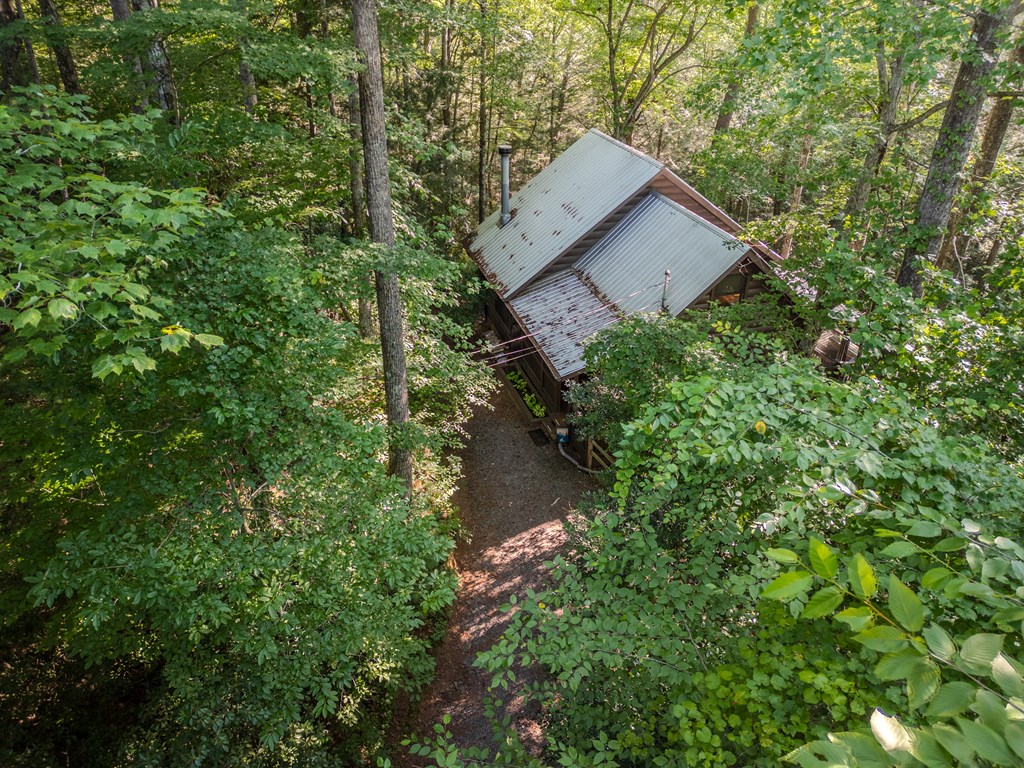 419597 Ellijay Residential