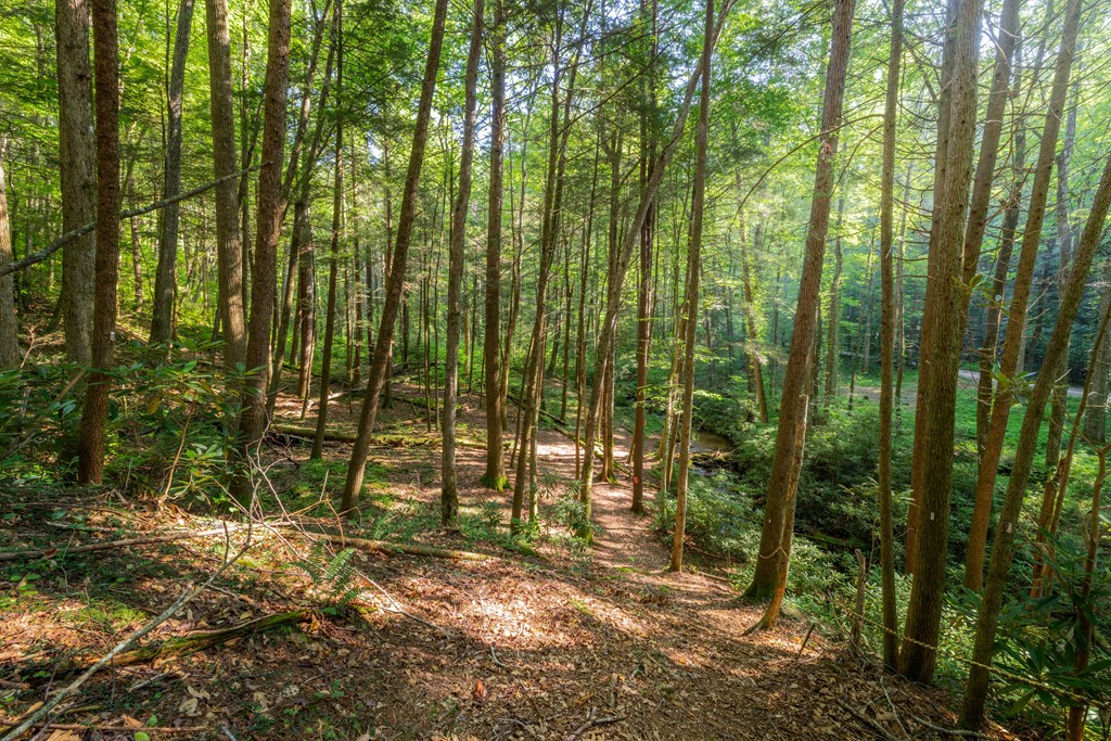 419597 Ellijay Residential