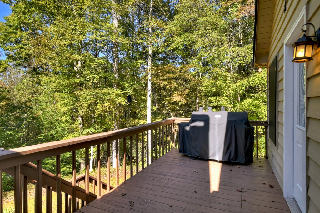 419602 Ellijay Residential