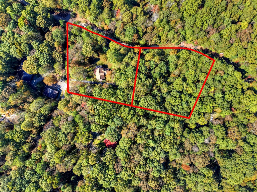 419602 Ellijay Residential