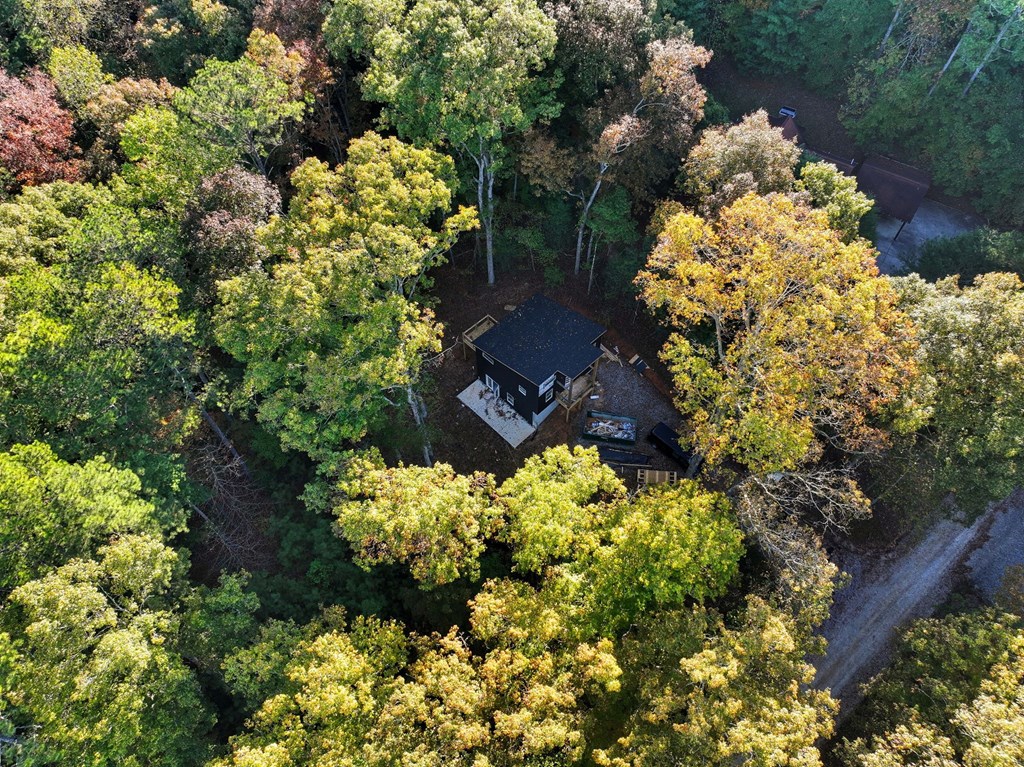 419619 Ellijay Residential