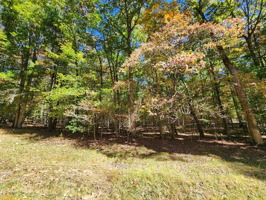 419673 Murphy Residential