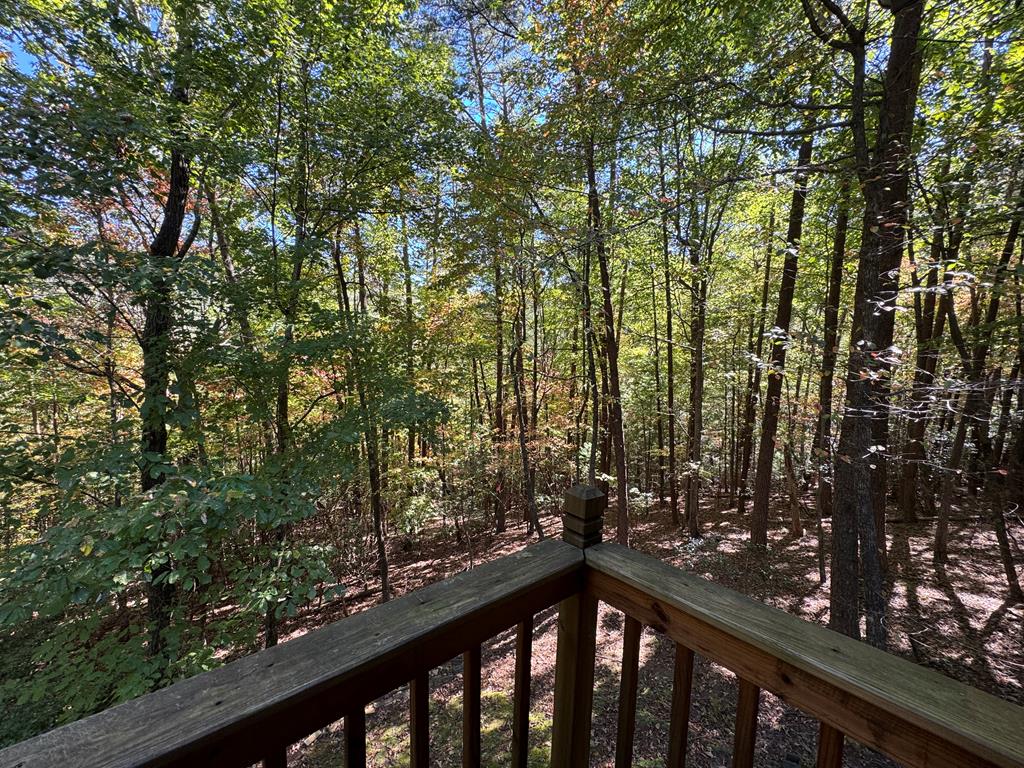 419696 Ellijay Residential