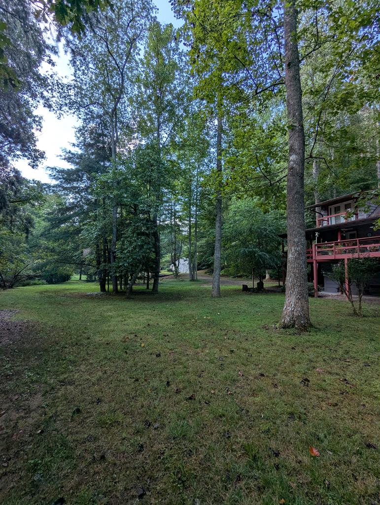 419709 Cherry Log Residential