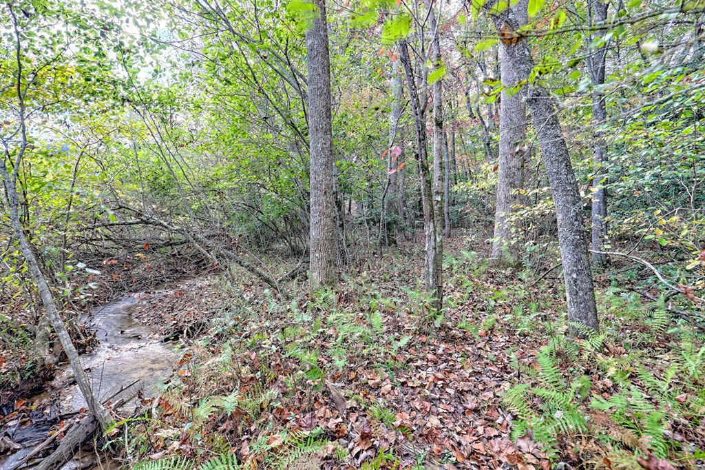 419738 Hiawassee Residential