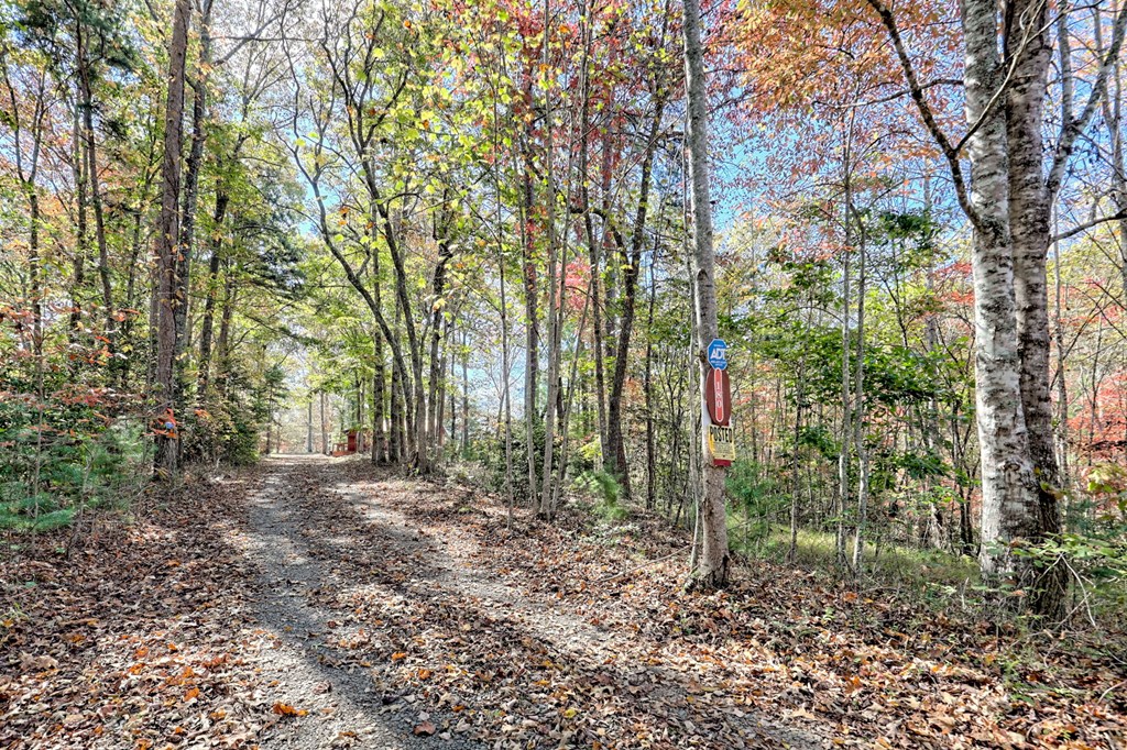 419749 Murphy Residential