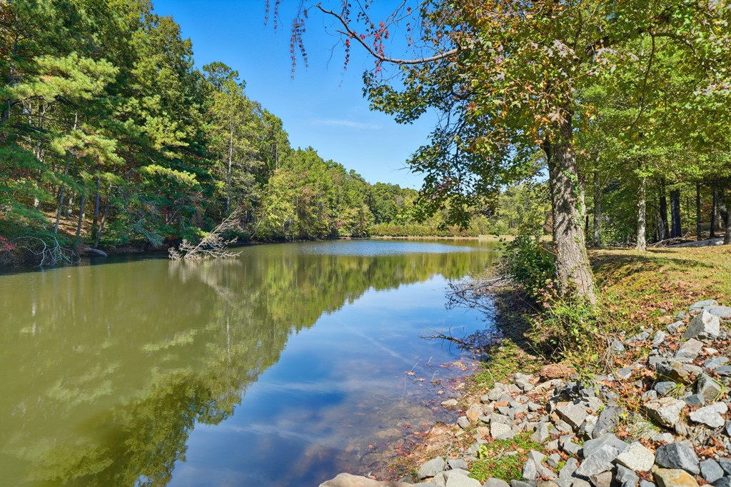 419779 Ellijay Residential