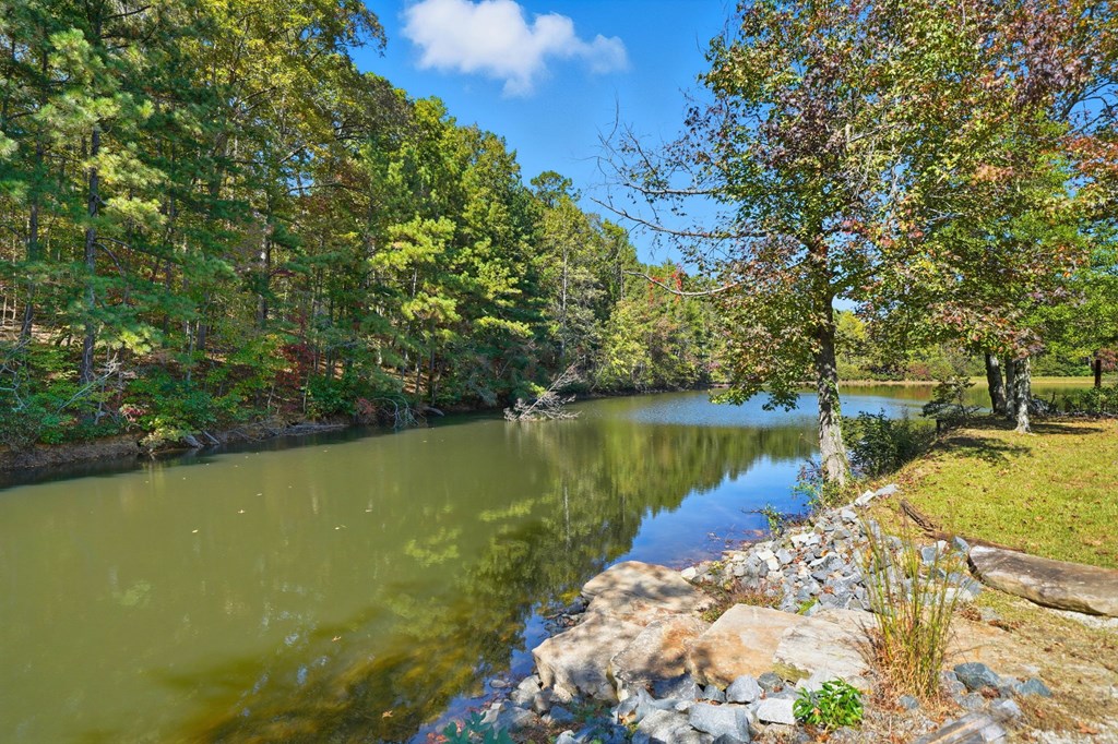 419779 Ellijay Residential