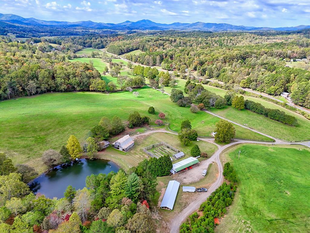 419784 Warne Residential