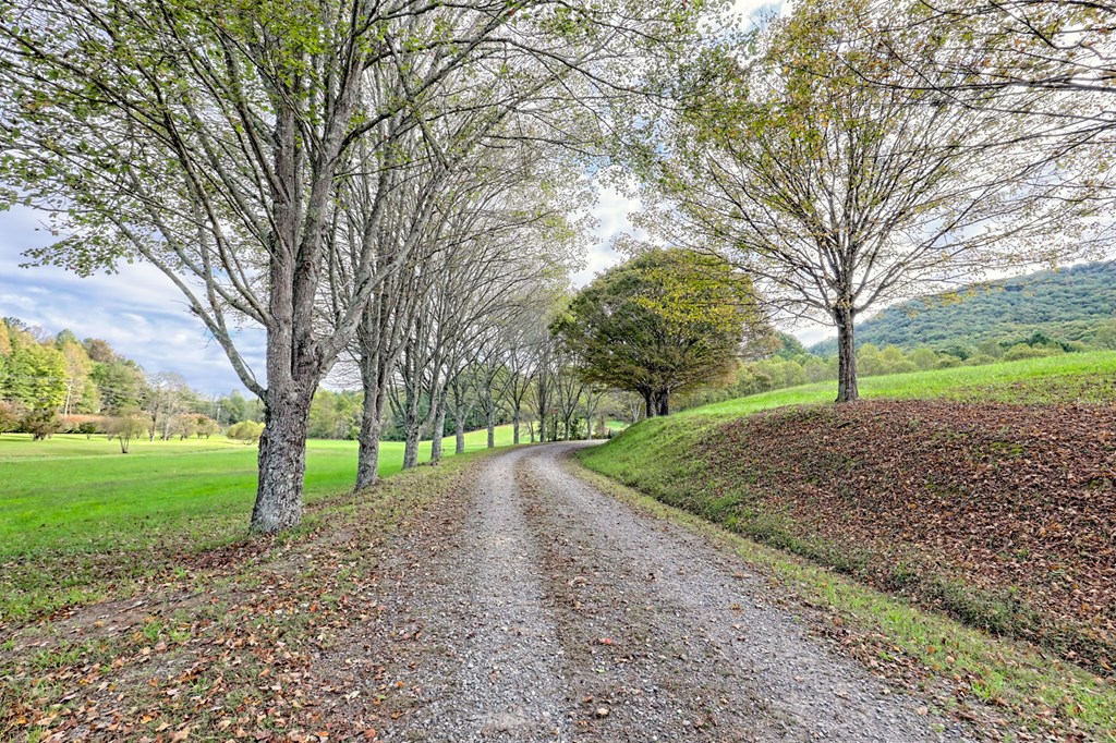 419784 Warne Residential