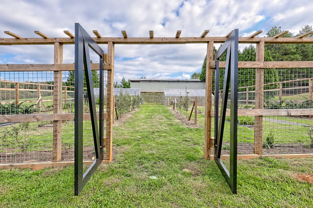 419784 Warne Residential