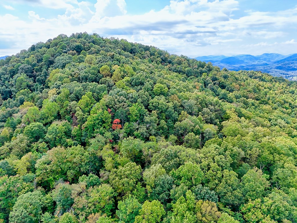 419784 Warne Residential