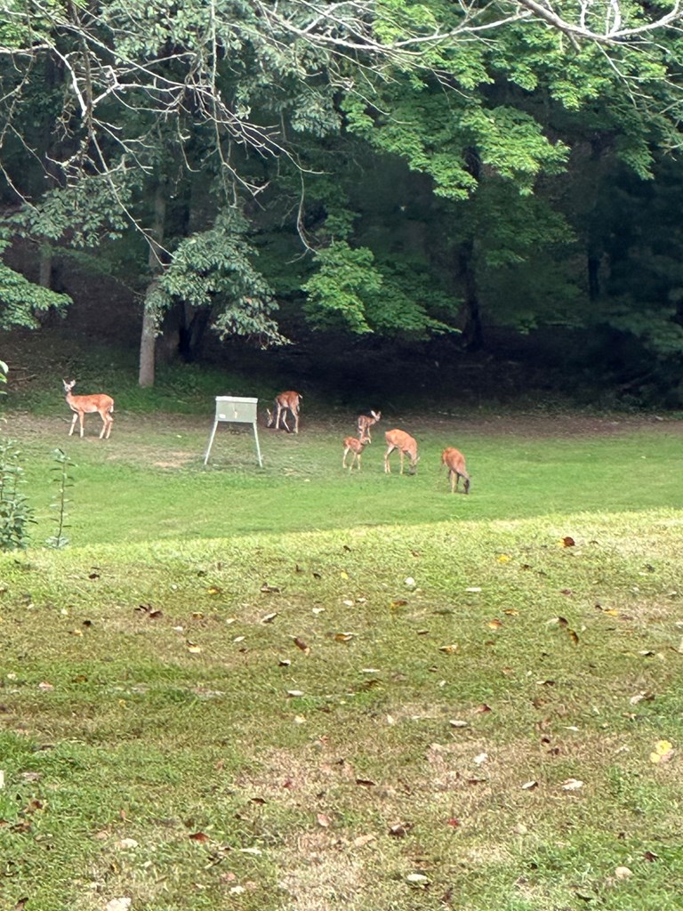 419784 Warne Residential