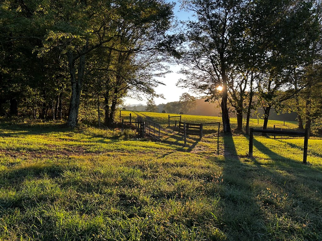 419784 Warne Residential