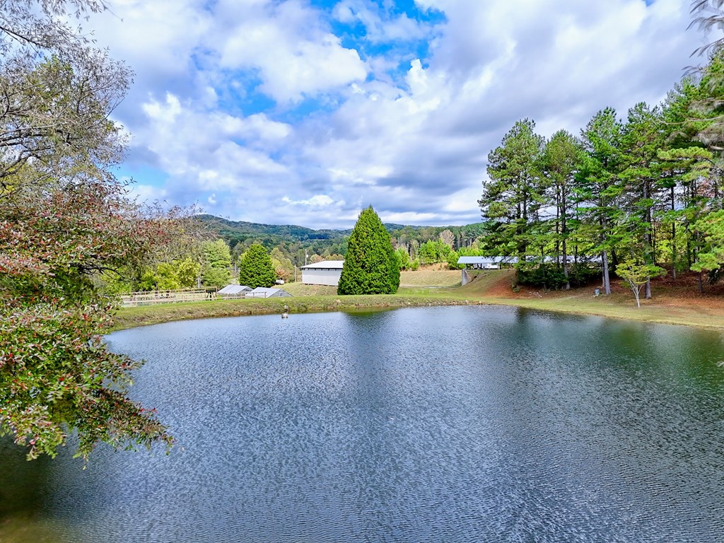 419784 Warne Residential