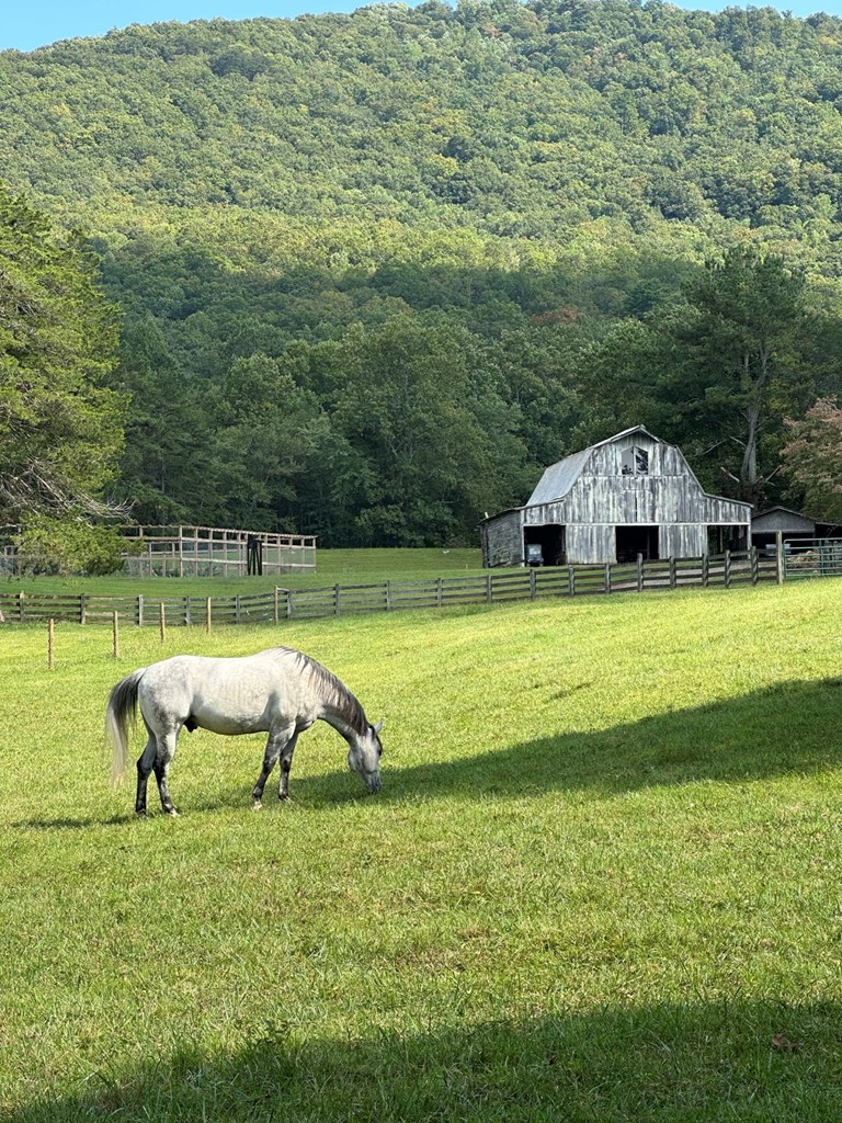 419784 Warne Residential