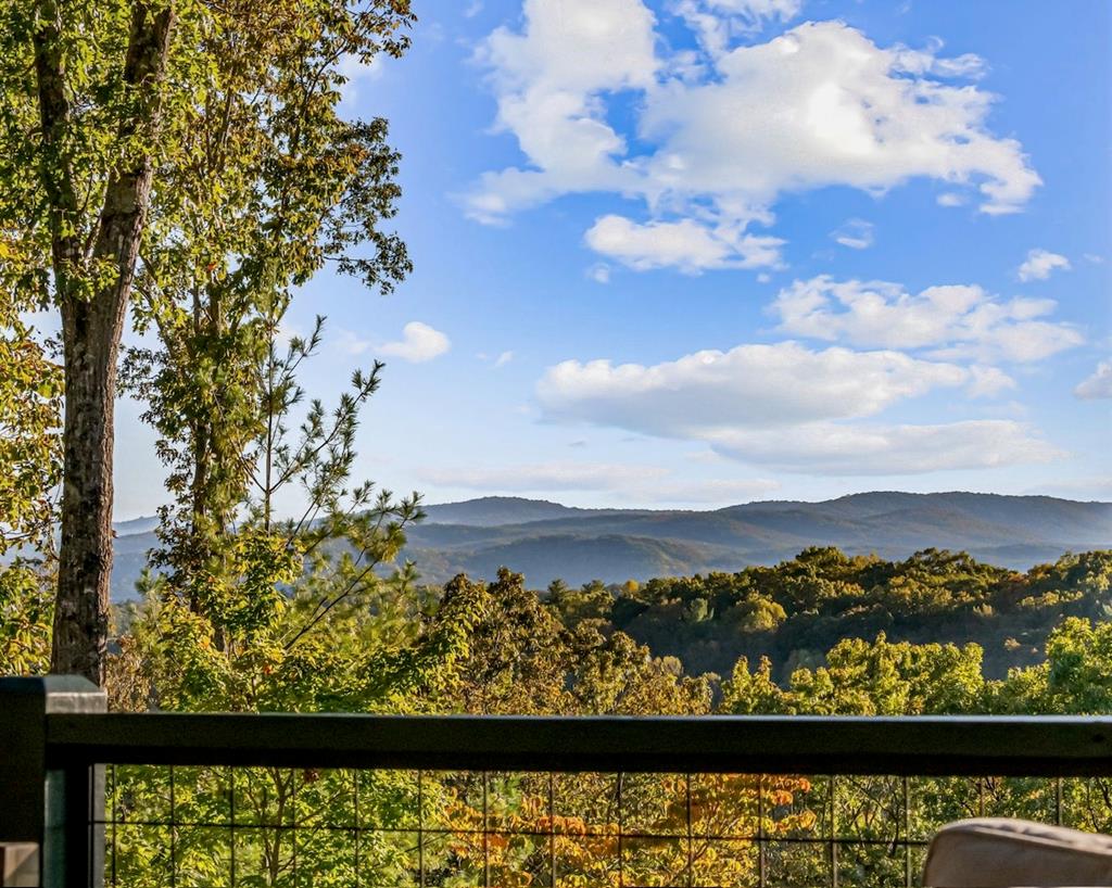 419785 Ellijay Residential