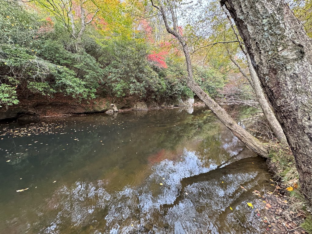 419786 Brasstown Residential
