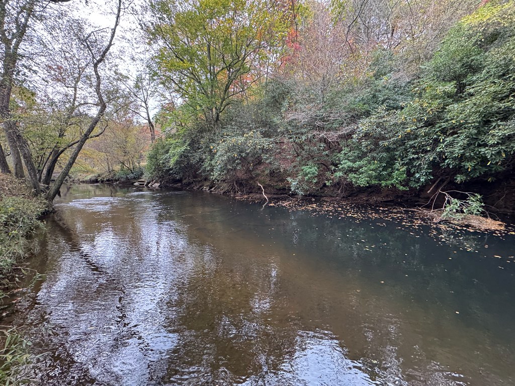 419786 Brasstown Residential